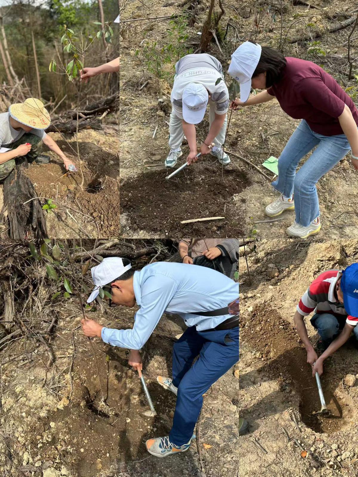 ΢��ͼƬ_20230418134701